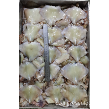 Frozen Squid Syther Wing Nototodarus Sloanii 400-600g